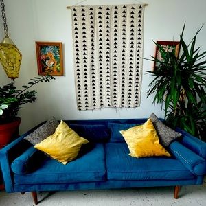 West Elm Classic Cotton Velvet Cover & Pillows